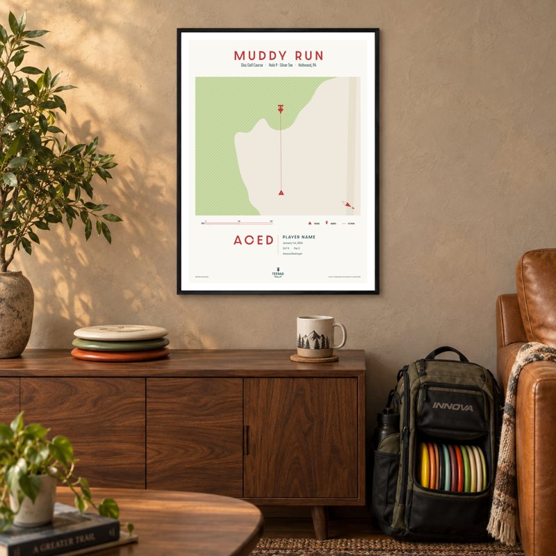 Framed ace commemorative poster: a single hole map with the tee, basket, and fly path, and the word ACED with the player's name, date, distance, and disc
